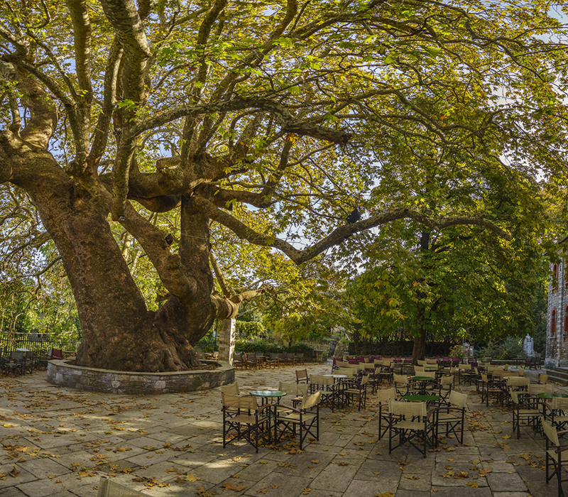 Περίπατοι κάτω από αιωνόβια πλατάνια και γεύσεις σε παραδοσιακές ταβέρνες.