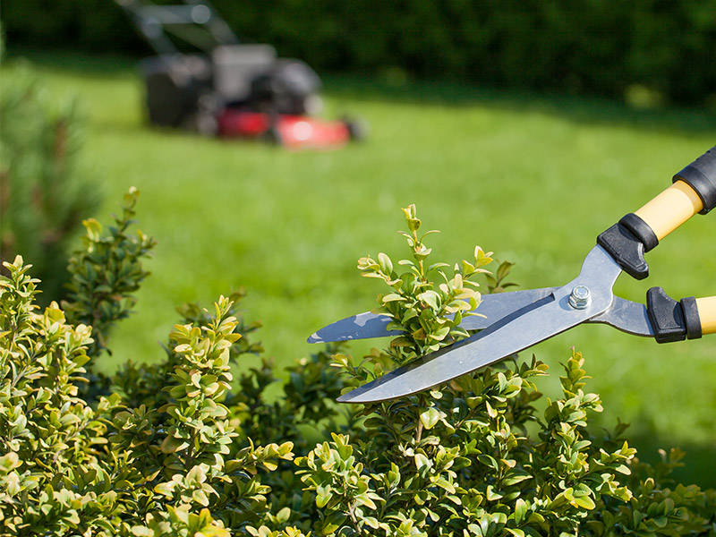 Με εμπειρία και τεχνογνωσία, δημιουργούμε χώρους πρασίνου που συνδυάζουν λειτουργικότητα, αισθητική και οικολογική ισορροπία...