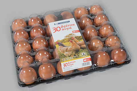 Τουμπανιάρης Μελέτιος | Παραγωγή & Εμπορία Αυγών Μέγαρα Αττική