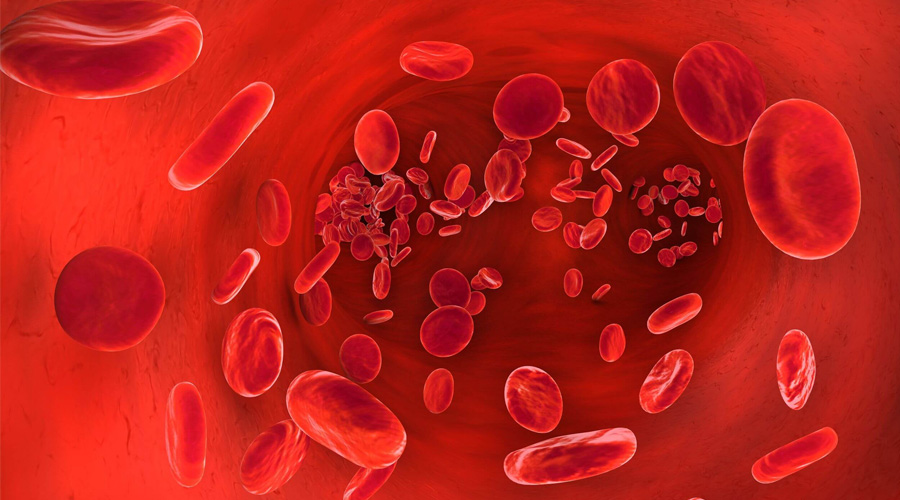 Το αιματολογικό τμήμα στο πλαίσιο του μικροβιολογικού εργαστηρίου συμβάλλει στην πρόληψη και την ανίχνευση πιθανών (περισσότερα...)