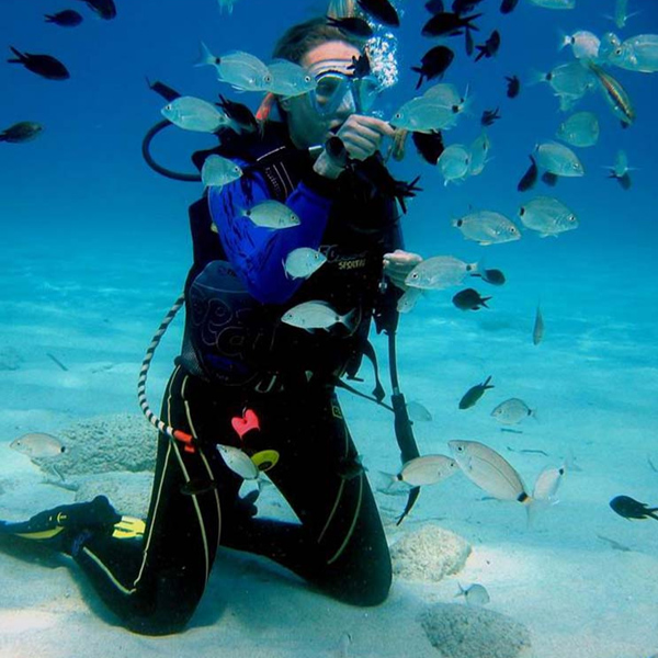 Introductory diving programs for complete beginners, day trips for experienced divers as well as specialized forms of diving for advanced divers.