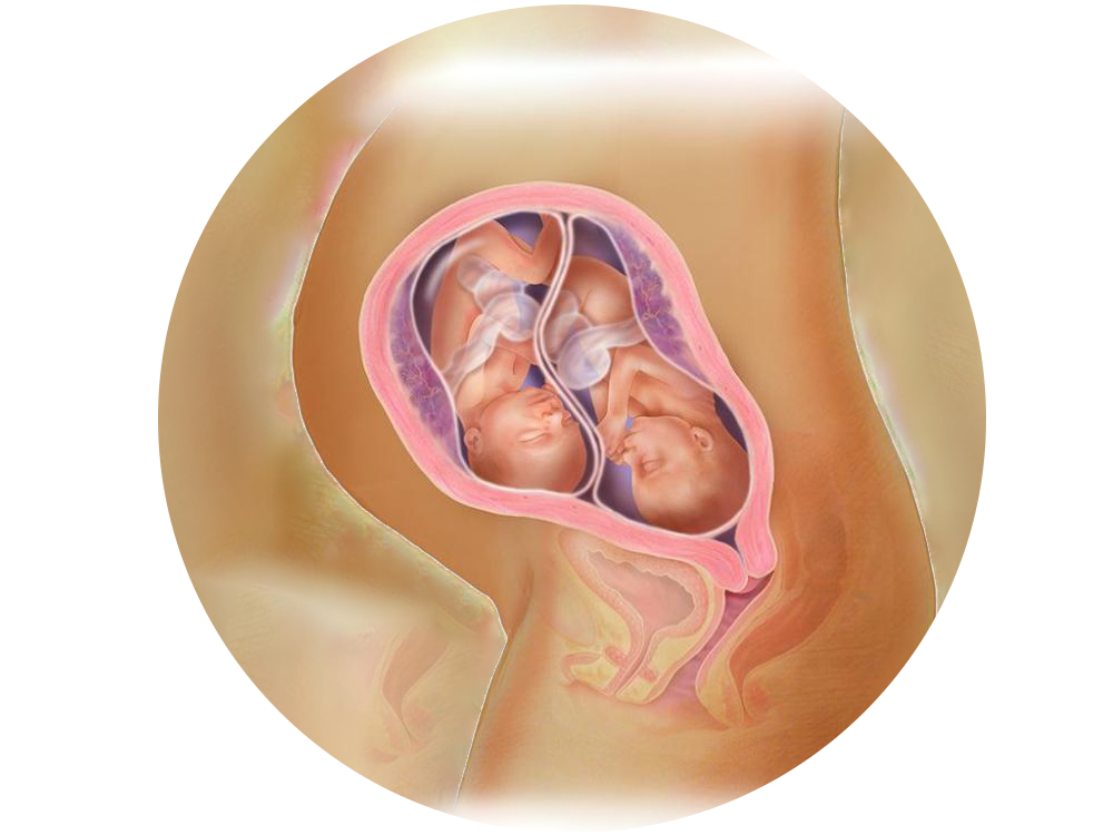 ΑΡΘΡΑ ΜΑΙΕΥΤΙΚΗ