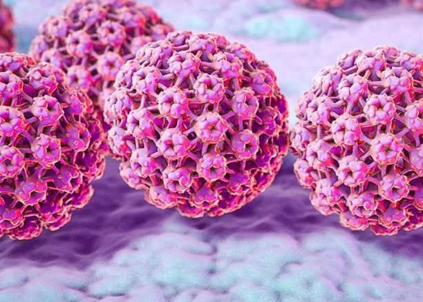 Τυποποίηση HPV