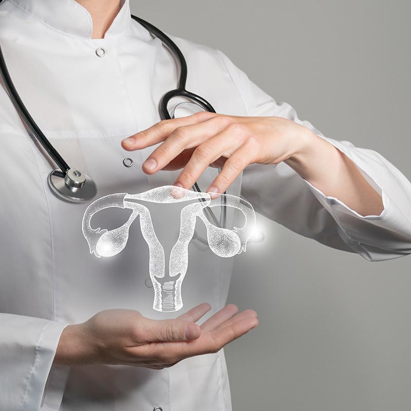 Ιατρικά τεκμηριωμένες θεραπείες για τη βελτίωση της αισθητικής και λειτουργικής υγείας της ευαίσθητης περιοχής. Ενίσχυση της αυτοπεποίθησης και της ποιότητας ζωής με σεβασμό στις ανάγκες κάθε γυναίκας.